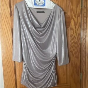 Silver Draped Cowl Neck Top